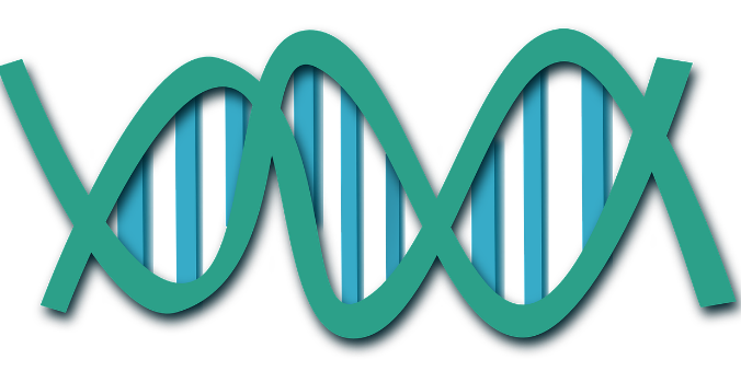 ClkerFreeVectorImages/pixabay/CC0 Public Domain