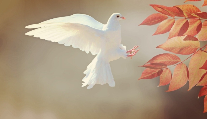 cocoparisienne/pixabay.com/Pixabay License