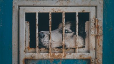 Egor Myznik/unsplash.com/лицензия unsplash.com