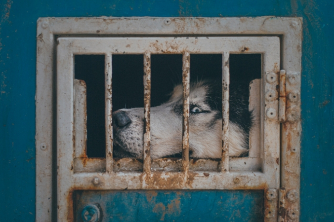 Egor Myznik/unsplash.com/лицензия unsplash.com