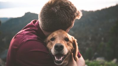 Eric Ward/unsplash.com/unsplash licence