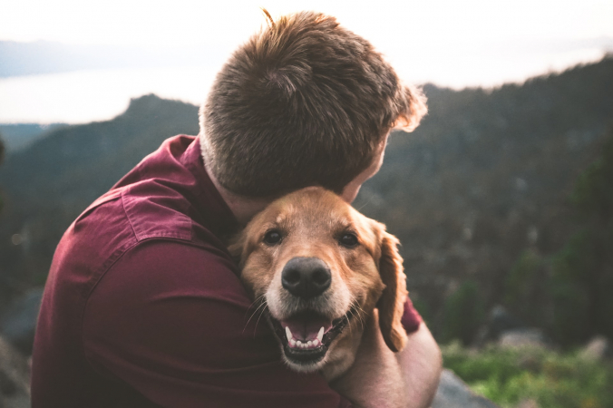 Eric Ward/unsplash.com/unsplash licence