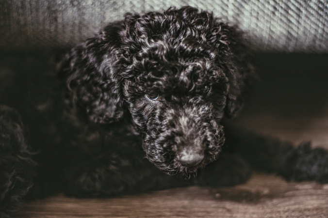 Sander Weeteling/unsplash.com/Unsplash License