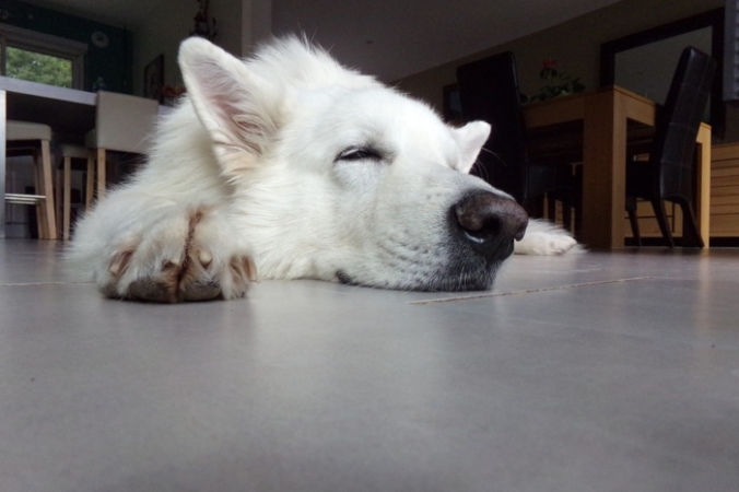 Emma_Ted/pixabay.com/Pixabay License