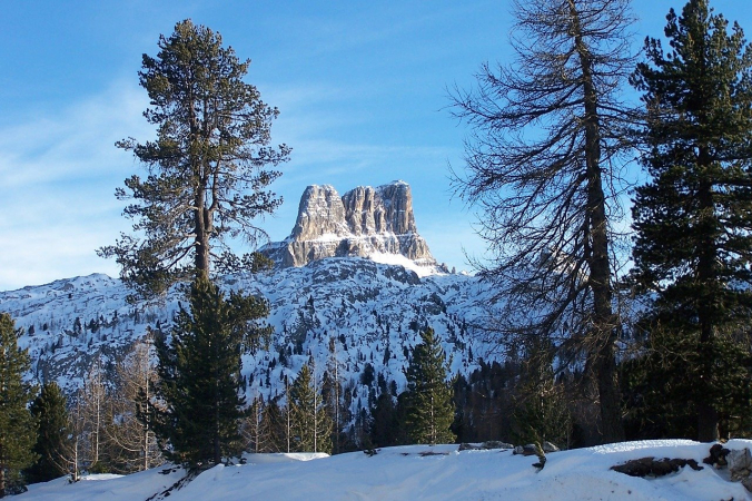 gavia26210/pixabay.com/Pixabay License