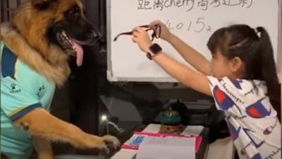 Скриншот/South China Morning Post/youtube.com