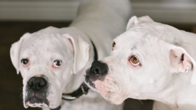Allie Smith/unsplash.com/СС0