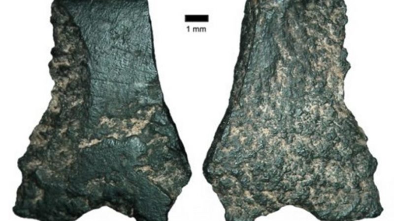 Фрагмент древнейшего в мире топора найден в Австралии Фото: ancient-origins.net/