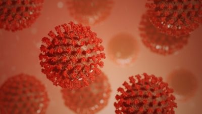 Visuals/pixabay.com/Pixabay License
