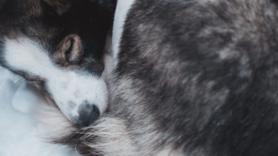 Febiyan/unsplash.com/unsplash licence
