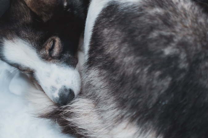 Febiyan/unsplash.com/unsplash licence