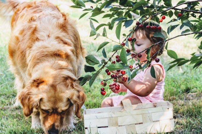 anialaurman/pixabay.com/Pixabay License
