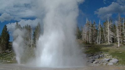 Гейзер в в Йеллоустонском национальном парке в штате Вайоминг. Фото: Public Domain