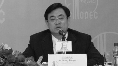 Президент Sinopec Ван Тяньпу принимает участие в пресс-конференции, на которой объявляет годовые результаты компании в Гонконге 7 апреля 2008 г. (AP Photo / Vincent Yu)