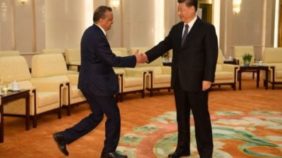 Тедрос Адханом Гебреиесус, Генеральный директор Всемирной организации здравоохранения (слева), обменивается рукопожатием с председателем Китая Си Цзиньпином перед встречей в Доме народных собраний в Пекине, Китай, 28 января 2020 года. Naohiko Hatta - Pool/Getty Images