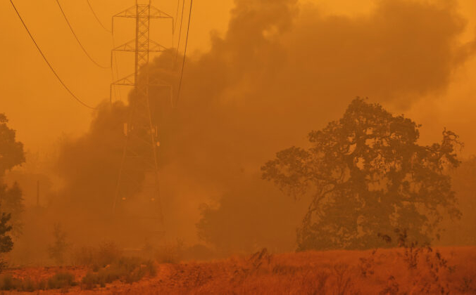 Justin Sullivan/Getty Images
