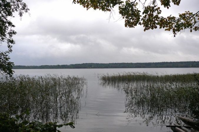 Фото: Дар Ветер/commons.wikimedia.org/Creative Commons Attribution-Share Alike 3.0 Unported