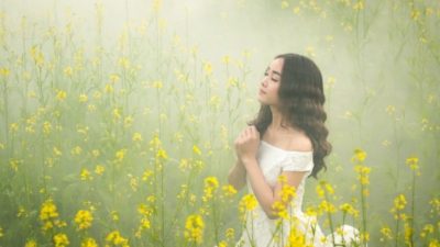 Фото: ThuyHaBich/pixabay.com/СС0