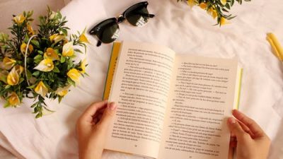 Книга. Фото: Aline Viana Prado/pexels.com / License 