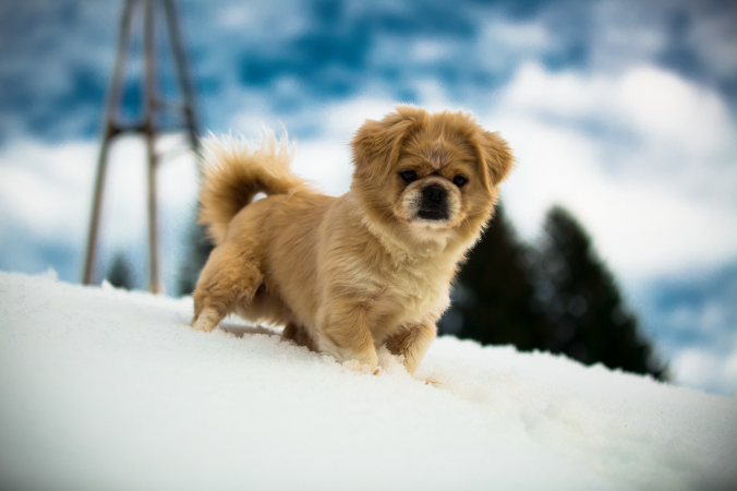 Krishh/unsplash.com/License Unsplash