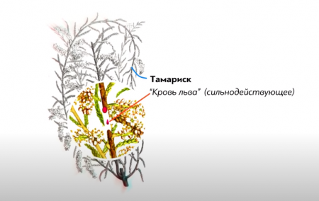 Медицина Вавилона