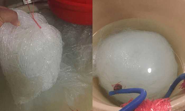 Поддельные измельченные медузы конфискованы полицией. (via Huzhou Police)