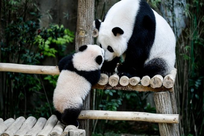 MANAN VATSYAYANA/AFP/Getty Images