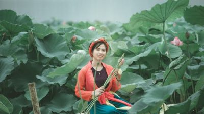 Лаос, долина кувшинок