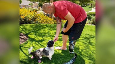 (С любезного разрешения San Diego Humane Society)