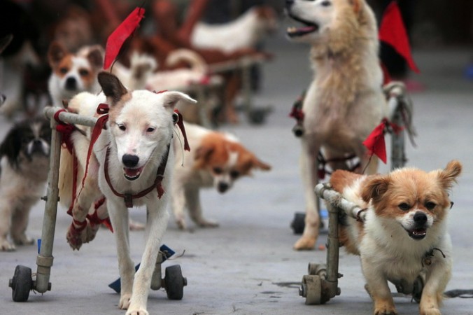 Illustration (China Photos/Getty Images)