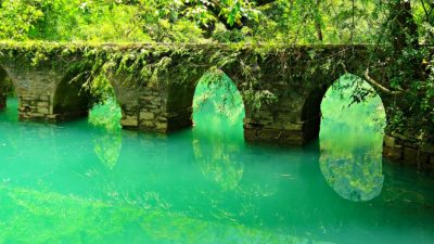 Фото: Alicia Campbell / pixabay.com/Pixabay License