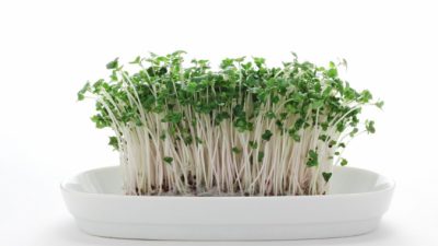 Доступный метод лечения аутизма. (Хару / Shutterstock)