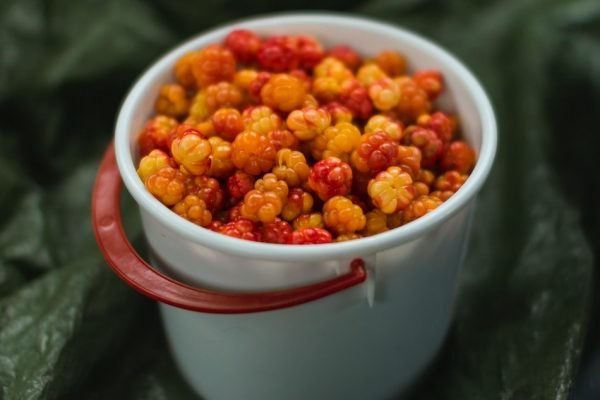 Морошка, ягода, Финляндия