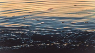 Kaitlin Duffey/unsplash.com/License Unsplash