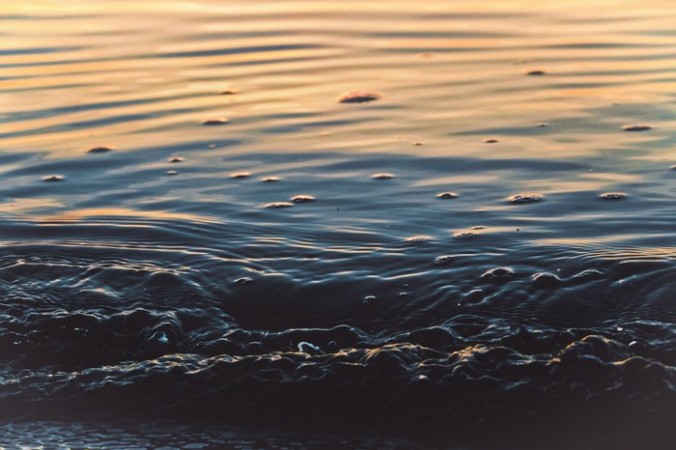 Kaitlin Duffey/unsplash.com/License Unsplash