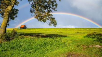 (VarnaK/Shutterstock)