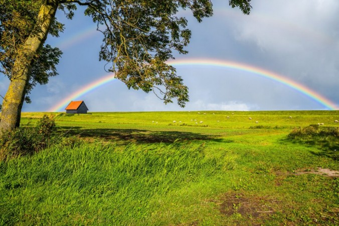 Как отпустить беспокойство и освободиться от навязчивых мыслей (VarnaK/Shutterstock)
