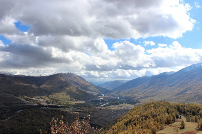 Фото: pixabay.com/Pixabay License