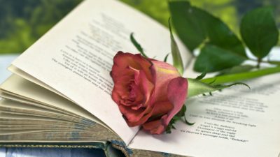 «О, моя любимая ― как красная, красная роза», ― шотландский поэт Робби Бернс (Грэм Доус).