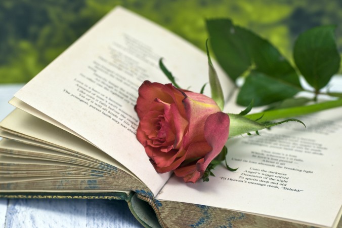 «О, моя любимая ― как красная, красная роза», ― шотландский поэт Робби Бернс (Грэм Доус).