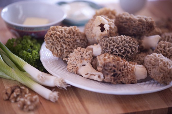 Грибы сморчка, очищенные и готовые к приготовлению. (Кэт Руни / Великая Эпоха)