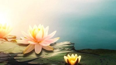 10 знаменитых китайских цветов