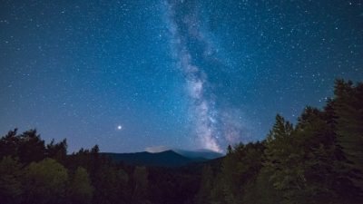 Фото: Hristo Fidanov/ pexels.com / License