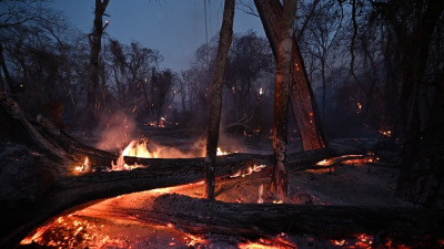 Горящий лес вблизи Асенсьона в департаменте Санта Круз в Боливии