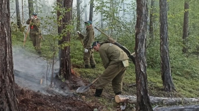 лесные пожары