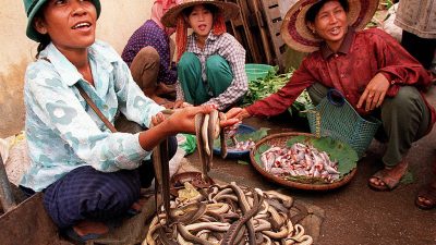 Женщины Камбоджи