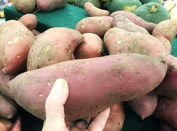 Продукты для женщин: традиционная китайская медицина
