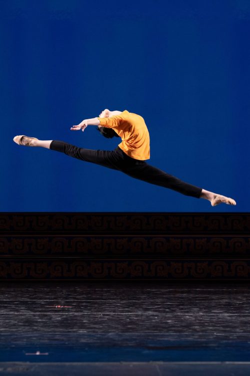Танцовщица, Shen Yun, красота
