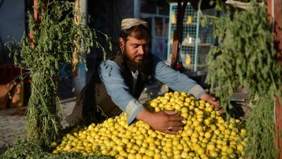 Продавец лимонов в ожидании покупателей в Кандагаре, 30 сентября 2021 г. Фото: JAVED TANVEER/AFP via Getty Images