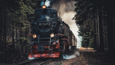 Фото: Mark Plötz/pexels.com / License